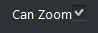 1. Can Zoom